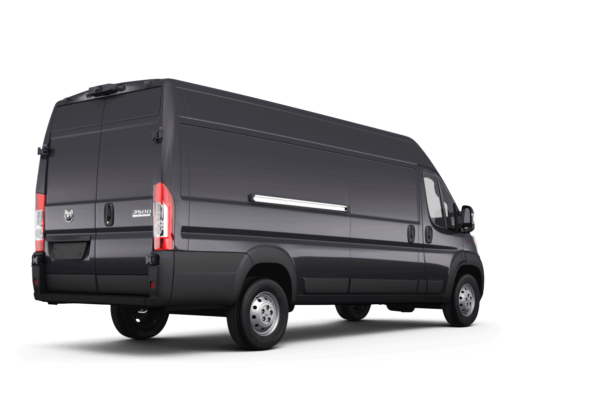 Ram false  - Back view Ram false  - Back view